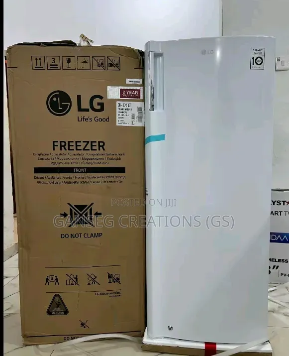 Lg Standing Freezer (6)Steps 168l