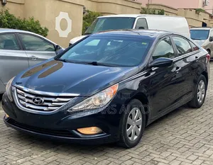 Hyundai Sonata 2011 Blue