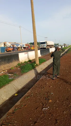 Dangote and Bua Cement Distributor