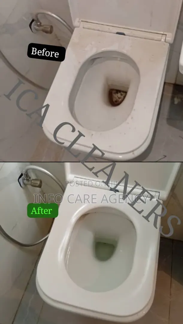 Ica Cleaners