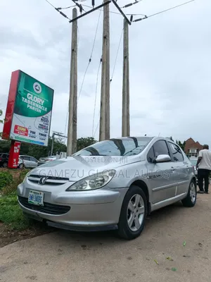 Peugeot 307 2008 Silver