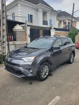Toyota RAV4 XLE AWD (2.5L 4cyl 6A) 2016 Gray