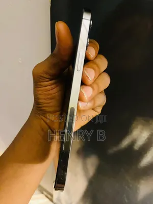 Apple iPhone 12 Pro Max 128 GB