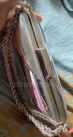 Sliver Purse
