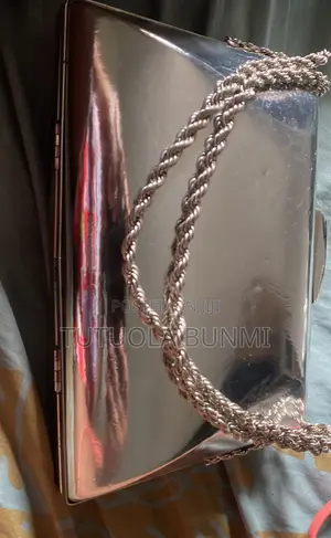Sliver Purse