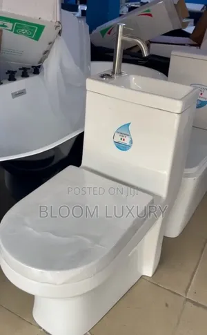 Quality Italy Water Closet With Basin