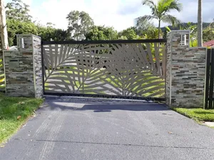 Standard Beautiful Laser Gate