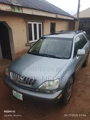 Lexus RX 300 4WD 2003 Gray