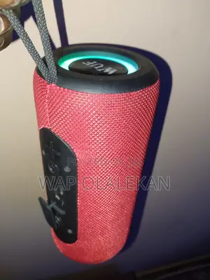 Wuf Bluetooth Speaker With Fm Radio and Lights.