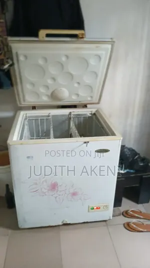 Deep Freezer Haier Thermercool