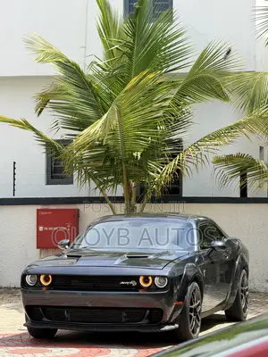 Dodge Challenger SXT AWD 2019 Gray
