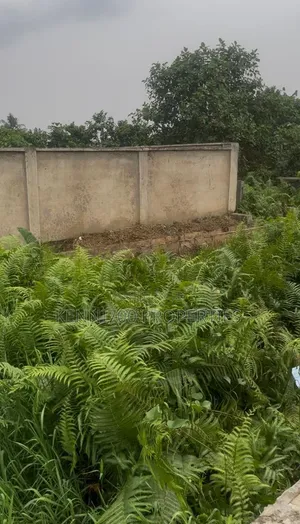 Fenced Half Plot Of Land With A Mini Flat In Ado Road Ajah