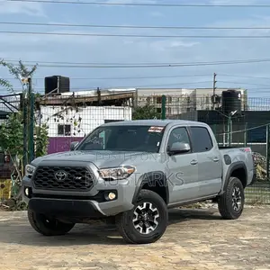 Toyota Tacoma Limited V6 4x4 Double Cab 127.4 in. WB 2020 Gray
