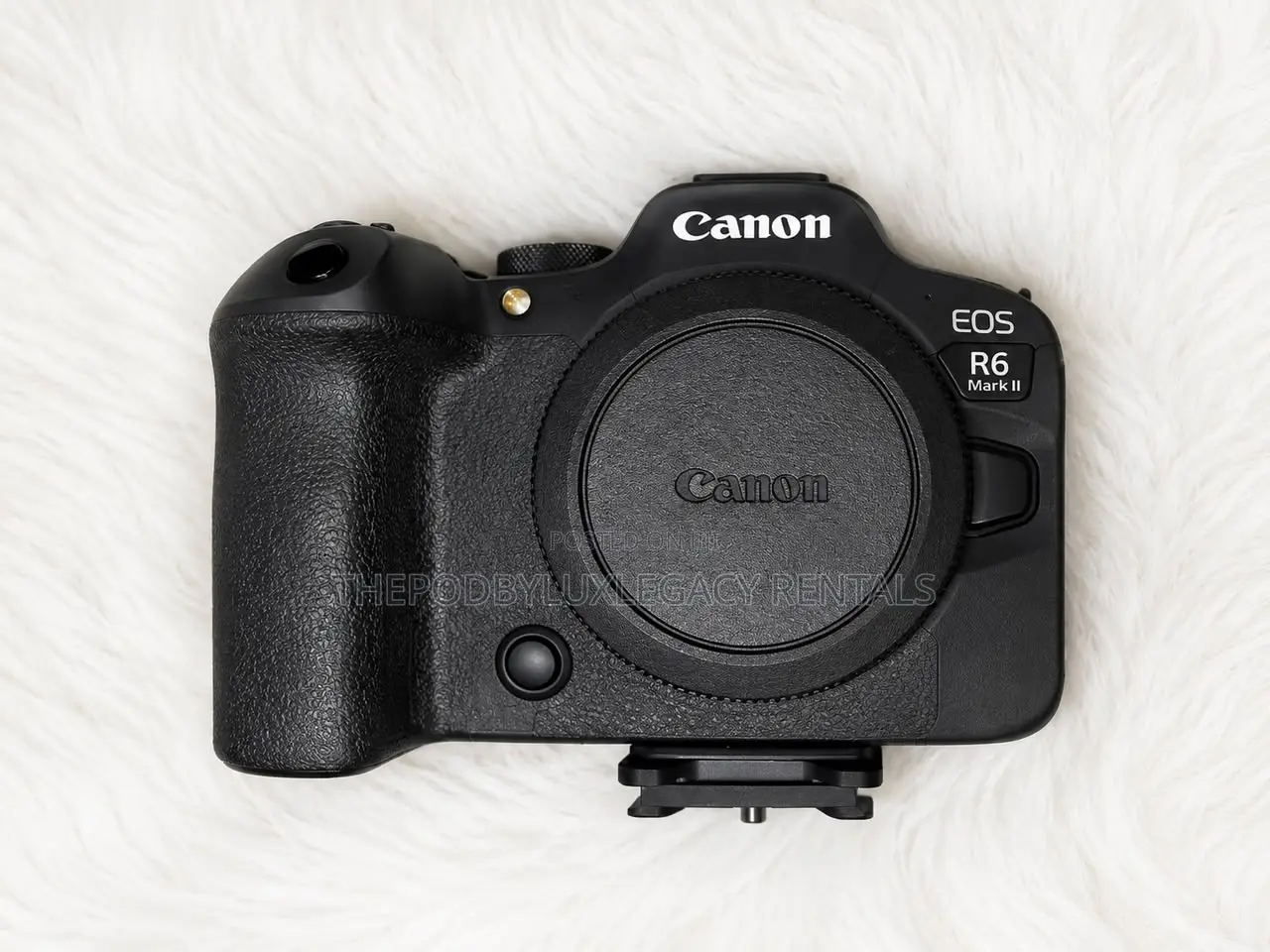 Canon R6 Mark Ii Camera Ror Rent