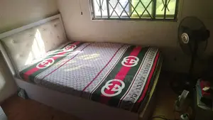 Bed Frame and Mattress