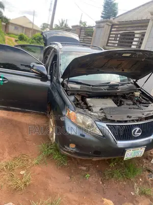 Lexus RX 350 2010 Gray