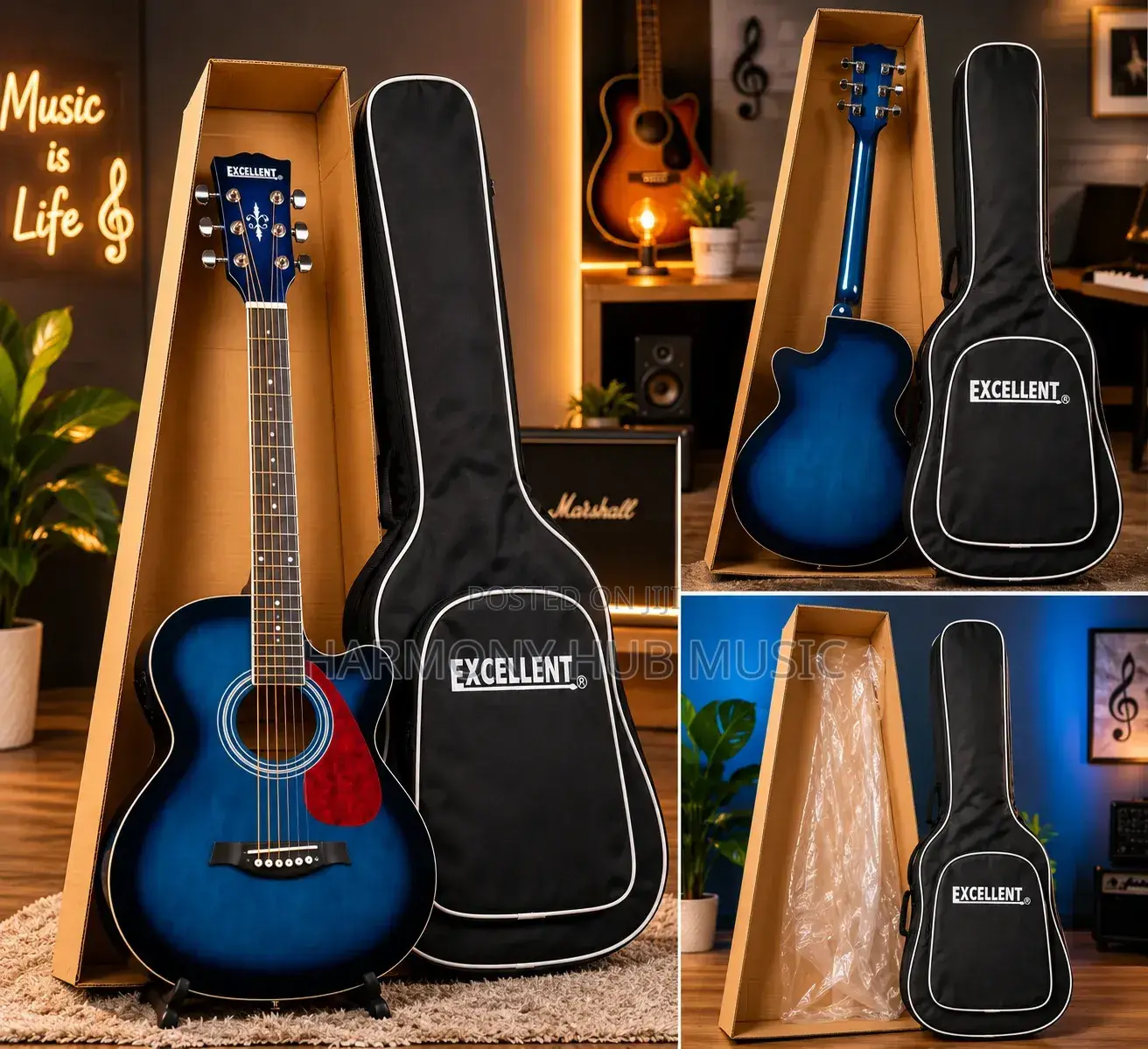 Acoustic Guitar