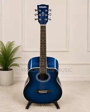 Acoustic Guitar