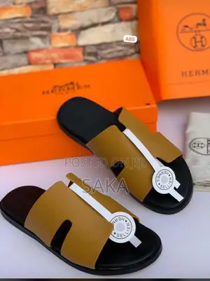 Hermes Palms