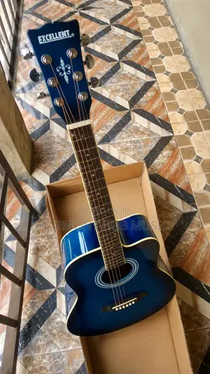 Acoustic Guitar