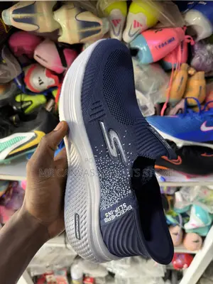 Skecher Canvass Shoe