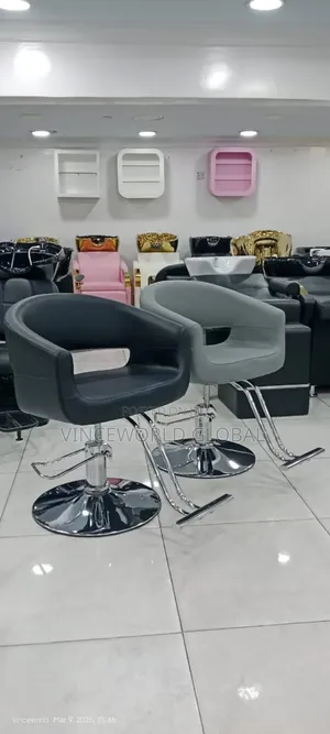 Portable Salon Chair