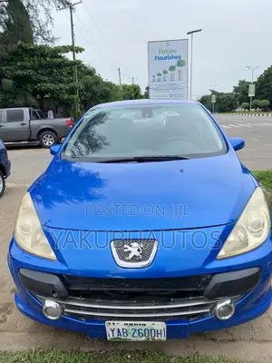 Peugeot 307 2007 Blue