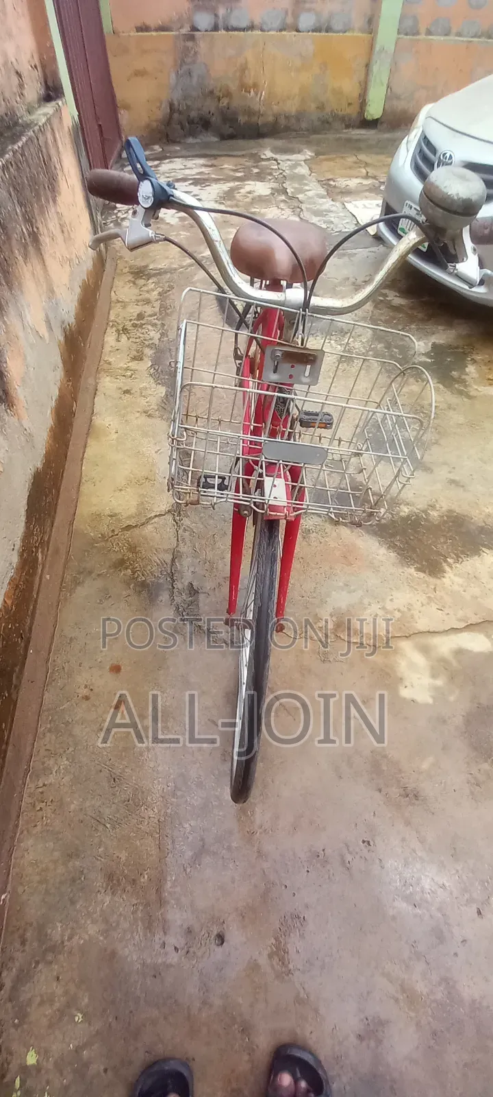Adult Bicycle