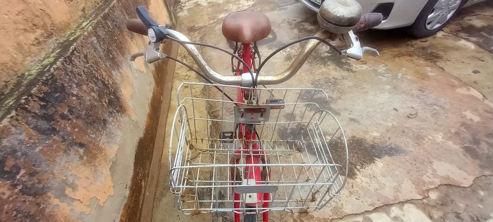 Adult Bicycle