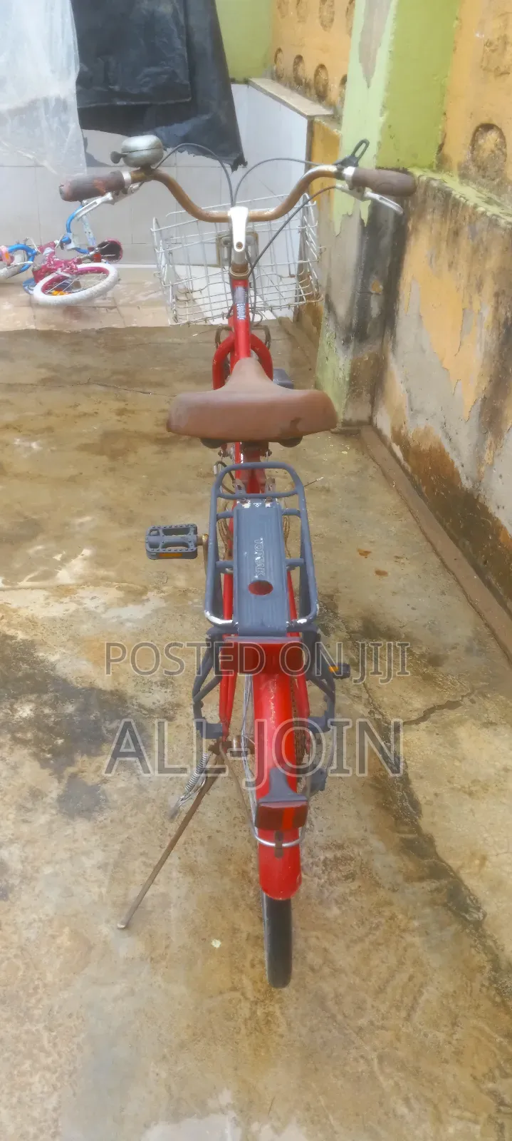 Adult Bicycle