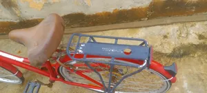 Adult Bicycle