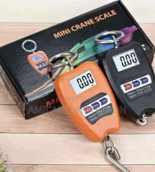 200kg Mini Crane Hanging Scale