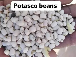 **Beans *100kg Bean 30 Painters . Eke Oko Market Anambra State100,000