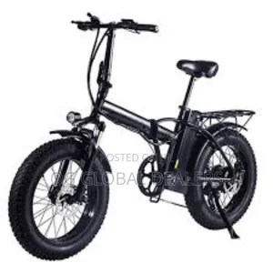 20 Inches Fat Tires Guangmi Electric Bike/E-Bike
