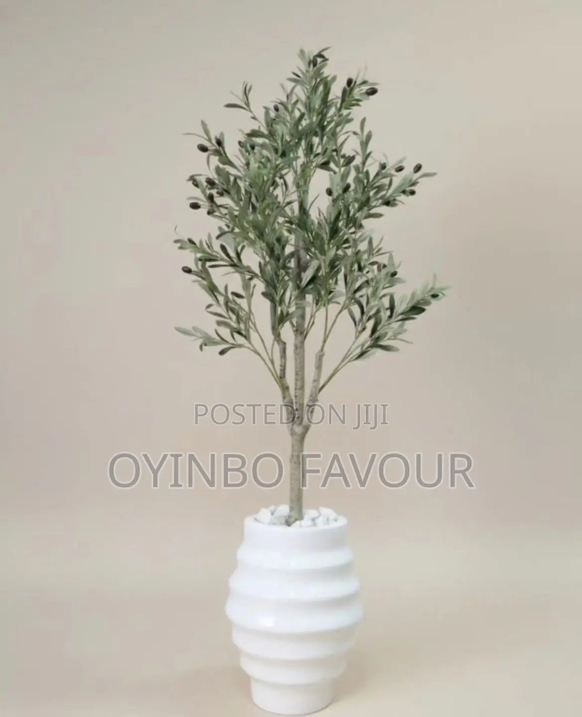 Decorative Flower Pot and Plants
