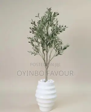 Decorative Flower Pot and Plants