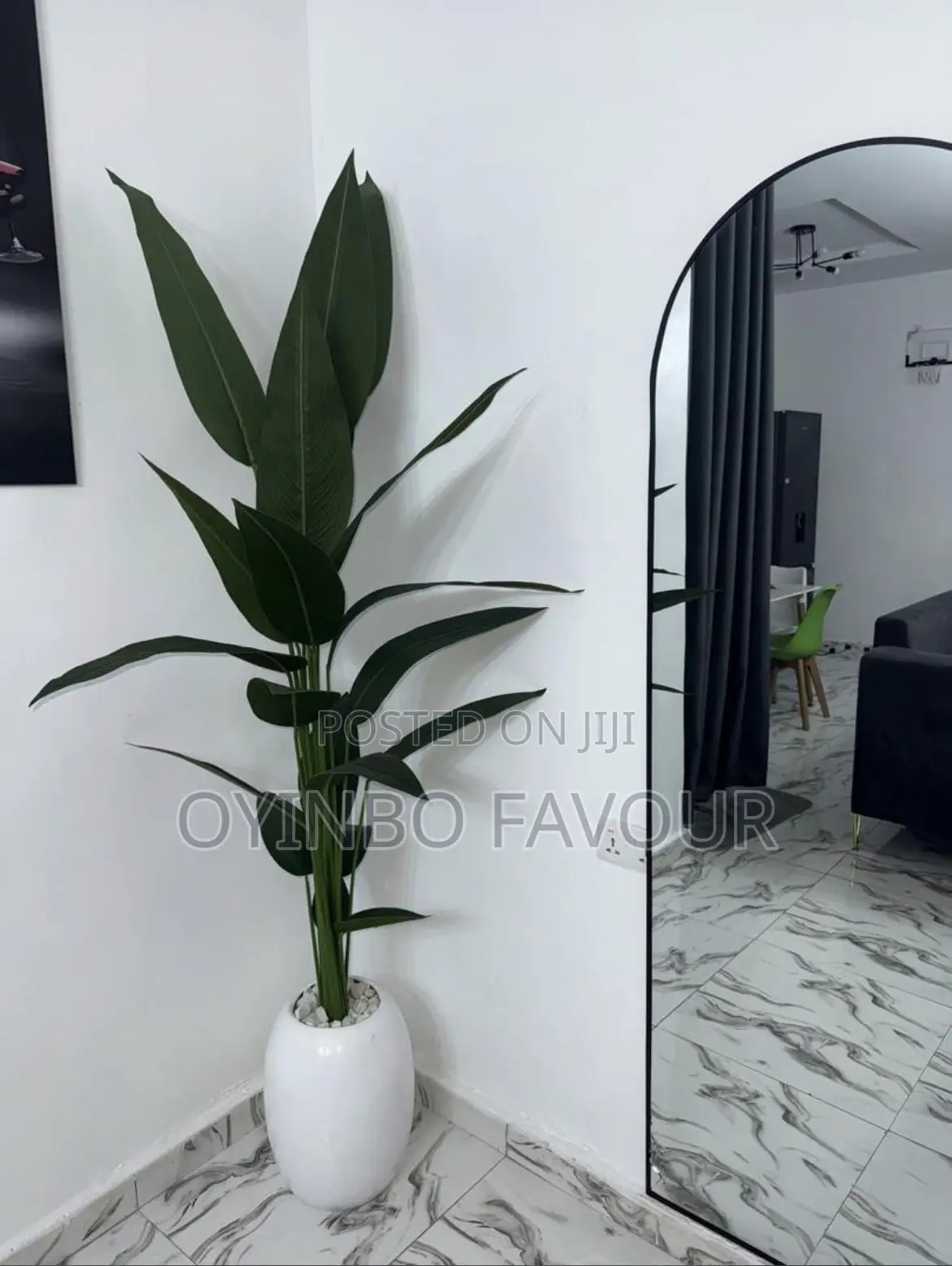 Decorative Flower Pot and Plants