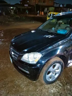 Mercedes-Benz M Class 2010 Black