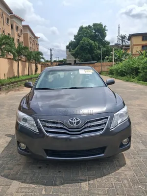Toyota Camry 2010 Gray