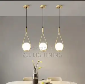 Modern Simple Single Dropping Light