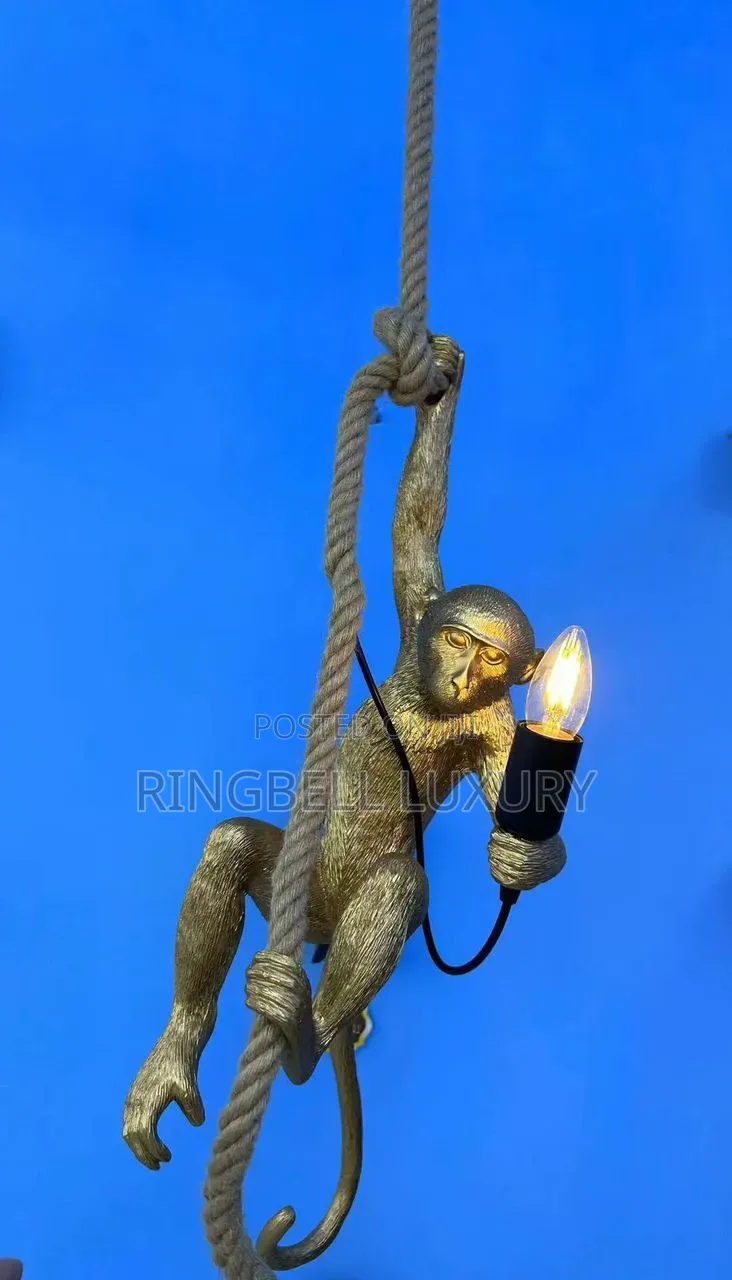 Monkey Drop Light