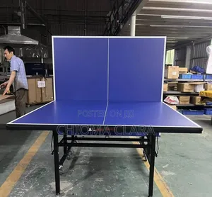 Standard Outdoor Table Tennis Board
