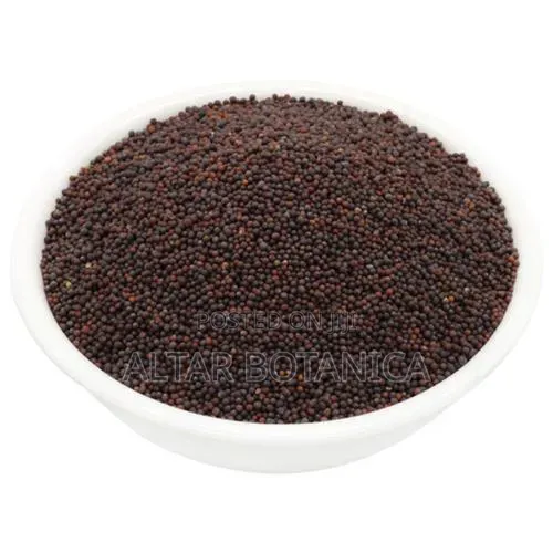 Mustard Seed