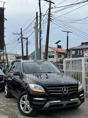 Mercedes-Benz M Class 2015 Black
