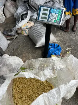 Dog Indomine and Mixed Indomine