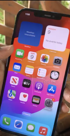Apple iPhone 12 Pro Max 256 GB Blue