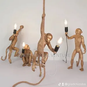Monkey Light Wall, Dropping and Standing