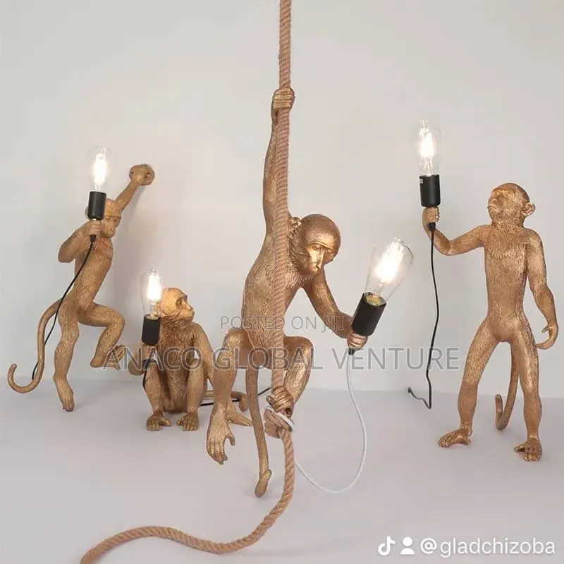 Monkey Light Wall, Dropping and Standing