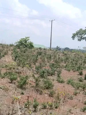 Plot of Land for Sale at Civil Defense Estate Orozo Abuja, Sizes 1,000