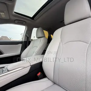 Lexus RX 2020 Gray